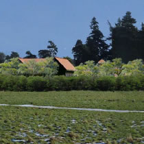 Proposed Henley Development Year 10